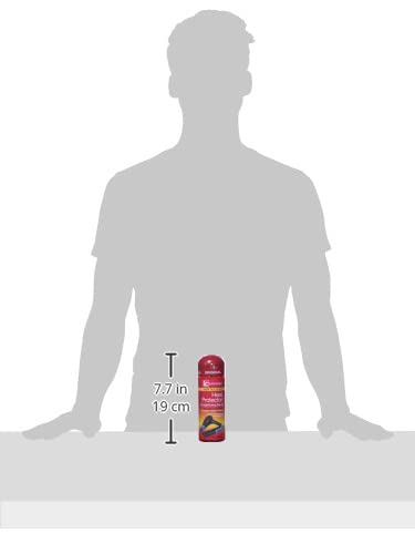 Fantasia IC Hair Polisher Heat Protector Straightening Serum, 6.0 Ounce 6.0 Fl Oz (0011313030158)