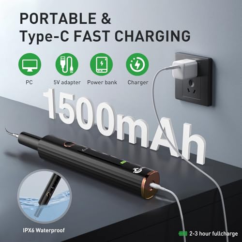 Plaque Remover for Teeth - Tartar Remover for Teeth, Dental Calculus Remover Teeth Cleaning Kit 4 Speed Modes with 4 Replaceable Heads, IPX6 Waterproof with LED Light