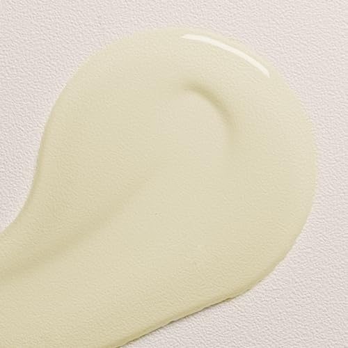 Davines OI Oil | Weightless Hair Oil Perfect for Dry Hair, Coarse & Curly Hair Types | Conrol Frizz | Soft, Shiny Hair