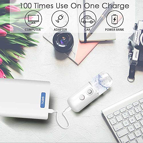 GIVERARE Nano Facial Steamer, Handy Mini Mister, USB Rechargeable Mist Sprayer, 30ml Visual Water Tank Moisturizing&Hydrating for Face, Daily Makeup, Skin Care, Eyelash Extensions-White