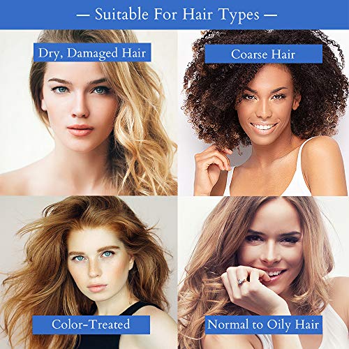 Brocato Cloud 9 Blowout Blow Dry Serum, 8.5 Ounce | Miracle Repair, Rapid Blow Dry Serum & Heat Protectant for Soft, Shiny Hair | All-Natural Hair Products for All Hair Styles, Color Safe