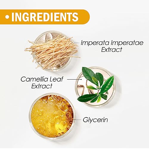 Mineral Sunscreen Setting Powder SPF 50, Face Powder with Brush, Translucent Mattifying Powder, Lightweight Oil Control Powder, Tinted Loose Powder for Oily Skin, Travel Makeup Powder