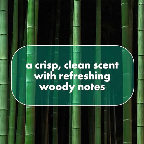 Dove Men+Care Whole Body Deo Aluminum-Free Deodorant Spray Aloe + Bamboo Suitable from Pits, Privates, to Feet 4 oz