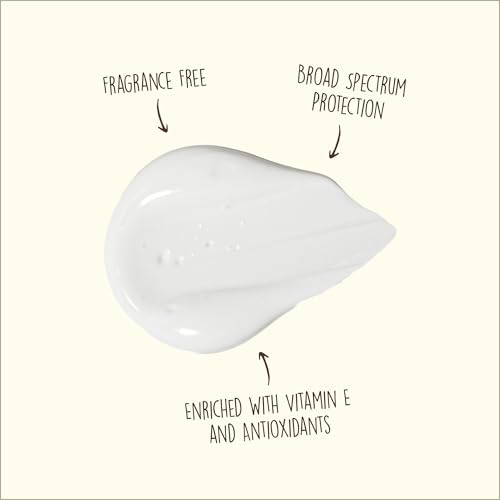 Sun Bum Original SPF 50 Sunscreen Face Lotion - Broad Spectrum Moisturizing Facial Sunscreen with Vitamin E -Fragrance Free - Travel Size - 3 oz