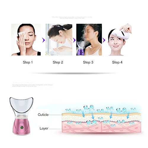 Hann Facial Steamer Professional Sinus Steam Inhaler Face Skin Moisturizer Facial Mask Sauna Spa Steamers with Aromatherapy Diffuser Humidifier Function (Pink)