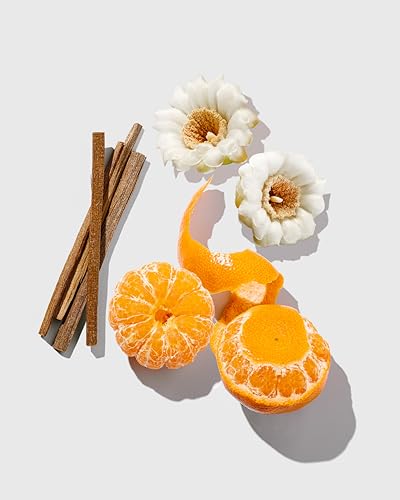 Kenra Professional Platinum Luxe Shine Oil | Gold Enriched Nourishing Elixir |Enhances Shine & Manageability | Thermal Protection Up To 450F | Medium To Coarse Hair