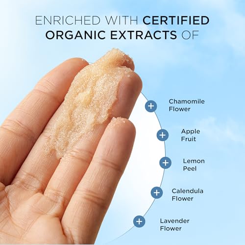 Antibacterial Body Scrub, Botanical Exfoliating Formula With Vitamin E, Vitamin A, Lavender, and Salt Granules to Exfoliate and Nourish Skin, Body Care for Oily and Combination Skin, 6 Fl Oz