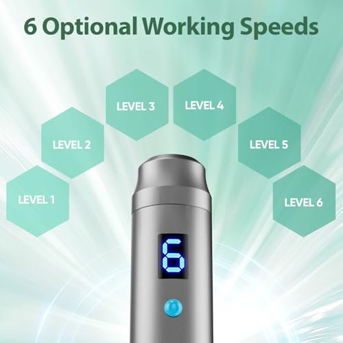 DermaStamp System 0.25mm, Microneedling Stamp Pen, Derma Stamp Pen, Derma Roller Alternative, Microneedle Micro Needle Skin Care for Men Women