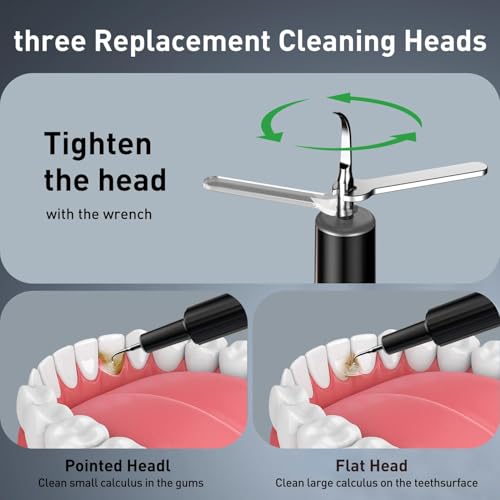 Plaque Remover for Teeth - Tartar Remover for Teeth, Dental Calculus Remover Teeth Cleaning Kit 4 Speed Modes with 4 Replaceable Heads, IPX6 Waterproof with LED Light