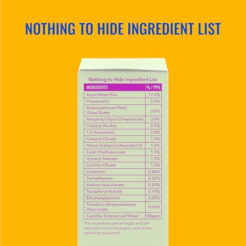 Good Molecules Lightweight Daily Moisturizer Face Cream – 100 ml / 3.38 fl oz - Non-Greasy Facial Moisturizer Face Lotion with Shea Butter & Hyaluronic Acid