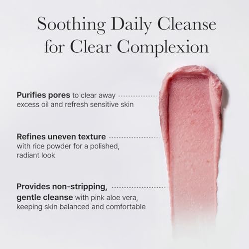 Arencia Rosehip Brightening Rice Mochi Face Cleanser & Daily Scrub - Moisturizing, Exfoliating & Deep-Cleansing - All Skin Types with Rice Powder & Rice Water (4.23oz)