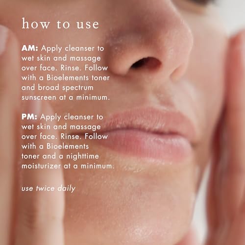 Bioelements Decongestant Cleanser - 6 fl oz - Lathering Gel Cleanser for Oily Skin - Vegan, Gluten Free