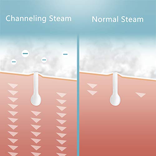 Facial Steamer for Face, Face Steamer for Facial Deep Cleaning, Nano Ionic Facial Steamer for Unclogs Pores, Hydrating (Purple, Include Blackhead Remover Kit, Brush, Headband)