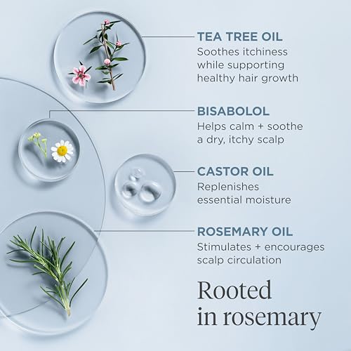 Briogeo Scalp Revival Rosemary Pre-Wash Oil - Moisturizing Scalp Treatment for Dry, Flaky, or Itchy Scalp, Strengthens Hair & Soothes Scalp, Vegan & Cruelty-Free, 3.4 oz