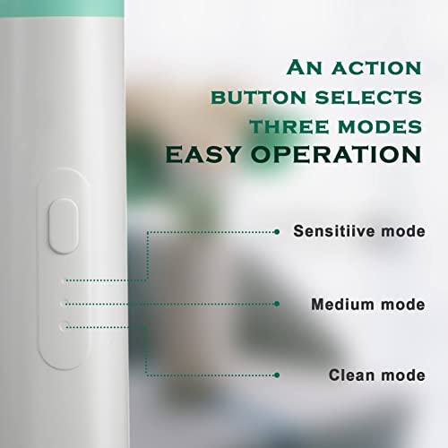 Electric Tooth Polisher, Household Electric Dental Calculus Remover with 8 Replacement Heads & 3 Adjustable Modes, Plaque Remover for Teeth, Teeth Cleaner Tools