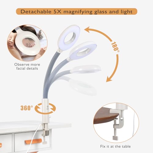 Fitnessclub 2 in1 Facial Steamer 5x LED Magnifying Lamp Hot Ozone Beauty Salon Face Equipment for Moisturizing, White