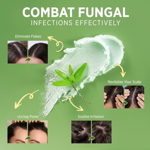 Roycederm Tea Tree Scalp Scrub – Pre-Shampoo Exfoliating Treatment for Dry, Flaky Scalp – Deep Cleansing, Refreshing & Balancing Formula for Healthy-Looking Hair