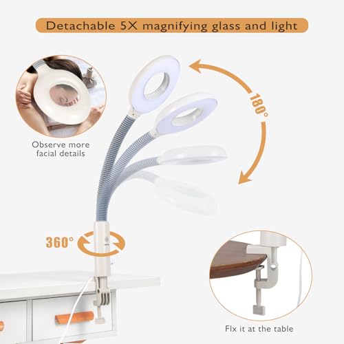 Artist hand Facial Steamer Professional 2 in 1 Hot Face Steamer with 5X LED Magnifying Lamp, Esthetician Face Steamer for Facial Deep Cleansing, Fast Heat Moisturizing for Beauty Salon Spa Home Use