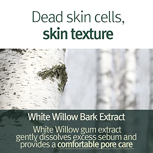 Pyunkang Yul Calming Pore Clear Wash Off Mask 100 ml