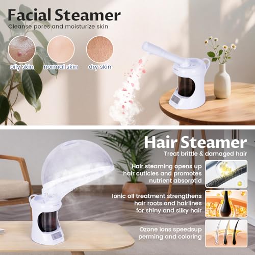 Hair Steamer, 2-in-1 Hair and Face Steamer with Extendable Arm, Portable Tabletop Steamer, Suitable for Home and Salon Personal Care