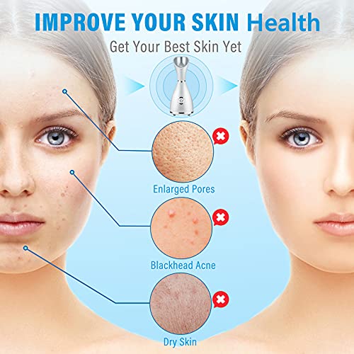 Nano Ionic Face Steamer - Warm Mist Humidifier for Deep Facial Cleansing - 4 Piece Stainless Steel Skin Kit, Hair Band, Wash Face Sponge