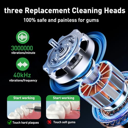 Plaque Remover for Teeth - Tartar Remover for Teeth, Dental Calculus Remover Teeth Cleaning Kit 4 Speed Modes with 4 Replaceable Heads, IPX6 Waterproof with LED Light
