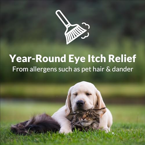 Alaway Antihistamine Eye Drops for Itchy Eyes, Fast-Acting, Up to 12-Hour Eye Itch Relief, Clinically Tested Prescription-Strength Formula, 0.34 Fl Oz (Pack of 2)