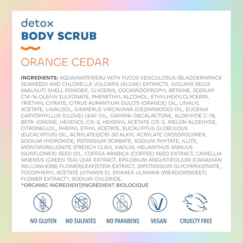 Seaweed Bath Co. Detox Body Scrub, Orange Cedar Scent, 6 Ounce, Sustainably Harvested Seaweed, French Sea Clay, Coffee Extract