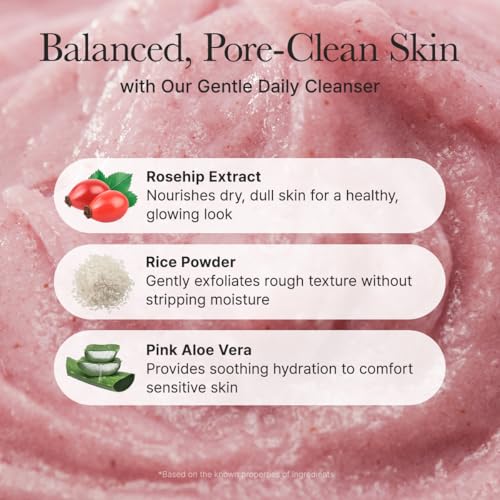 Arencia Rosehip Brightening Rice Mochi Face Cleanser & Daily Scrub - Moisturizing, Exfoliating & Deep-Cleansing - All Skin Types with Rice Powder & Rice Water (4.23oz)