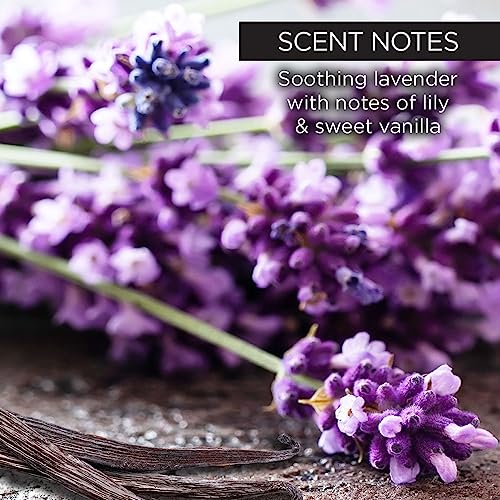 Whish Beauty Lavender Exfoliating Sugar Scrub - Body Scrub for Women - Brown Sugar Exfoliator with Raspberry, Aloe, & Shea Butter - Gentle on All Skin Types - Paraben & Sulfate Free - 8 oz