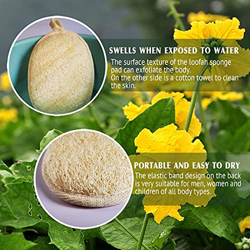 YIQINGJIE Natural Loofah Sponge Exfoliating Body Scrubber (2 Pack),Made with Eco-Friendly and Biodegradable Shower Luffa Sponge, Loofah for Women and Men, Beige