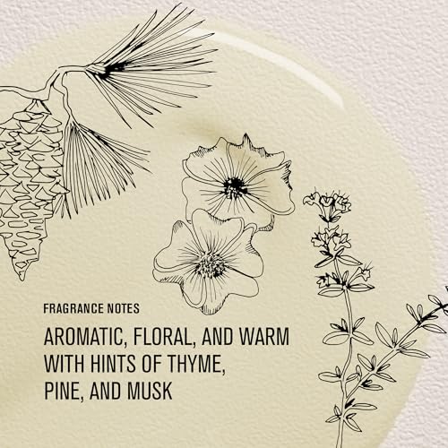 Davines OI Oil | Weightless Hair Oil Perfect for Dry Hair, Coarse & Curly Hair Types | Conrol Frizz | Soft, Shiny Hair