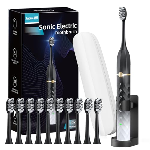 Electric Toothbrush Set, Equipped with 10 Brush Heads and Travel case, IPX8 Waterproof, 2-Minute Timer, 42000 high-Frequency Vibrations, 5 Modes, The First Choice for Gift Giving