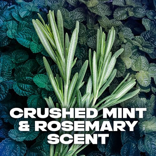 AXE Dual Action Deodorant Stick For Long Lasting Odor Protection, Phoenix Crushed Mint & Rosemary Men's Deo, Aluminum Free 3oz Twin Pack